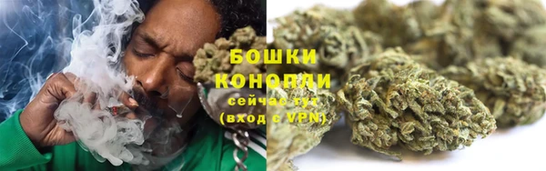 крисы Гусев