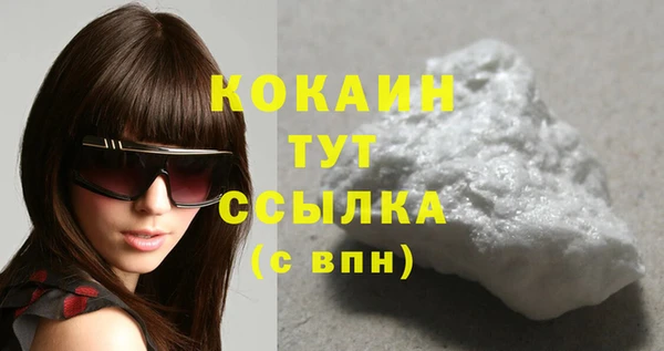 крисы Гусев