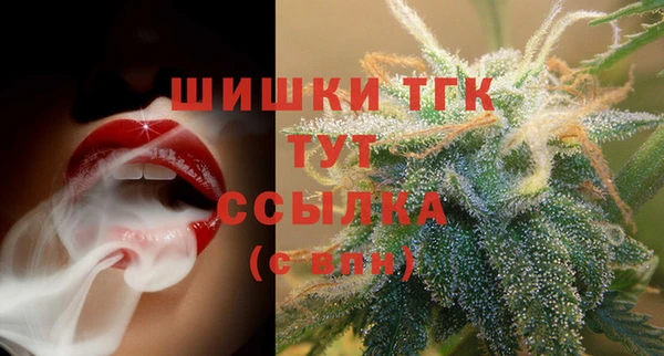 крисы Гусев