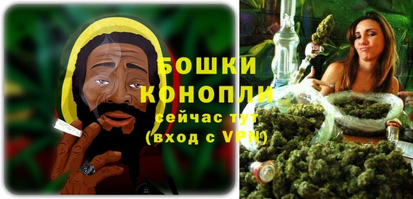 крисы Гусев