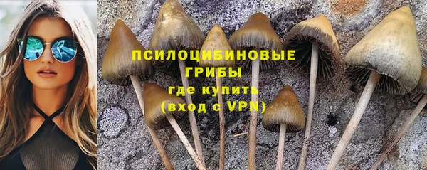 крисы Гусев